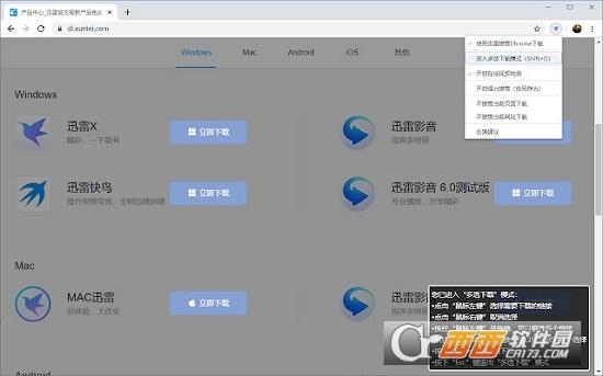 迅雷下载支持,下载,扩展.
