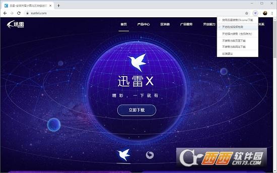 迅雷下载支持,下载,扩展.